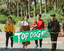 91大神《TOP DOG》免费在线观看