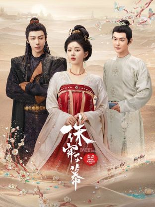 91国产探花《珠帘玉幕》免费在线观看