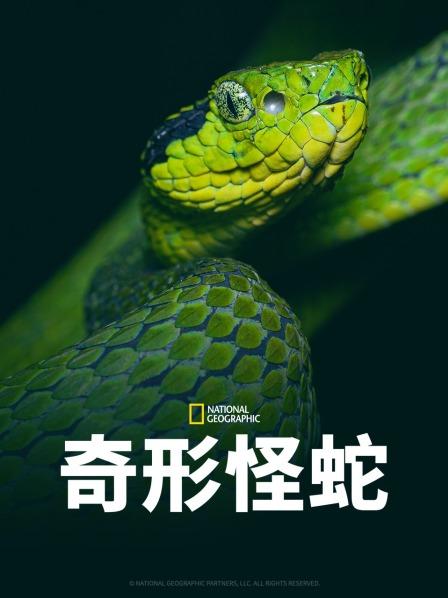 91大神app《奇形怪蛇》免费在线观看